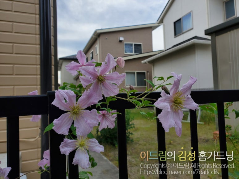 텐텔 이미지