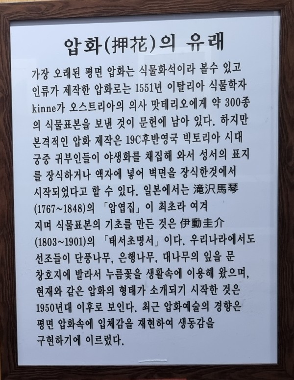 꽃과사는여인 이미지