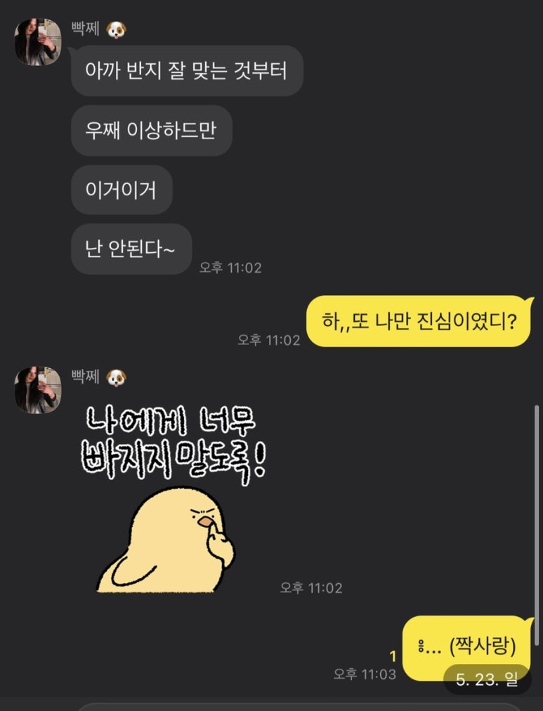 인사동다육 이미지