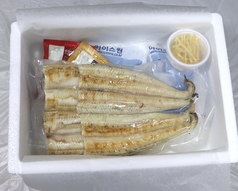 동진강민물장어 이미지