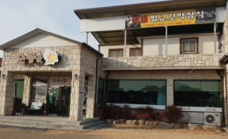 순흥애꽃 이미지