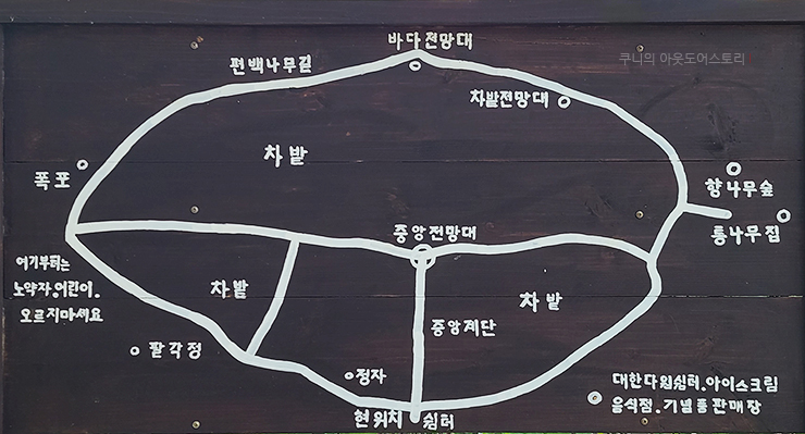 주식회사 보성녹차인 이미지