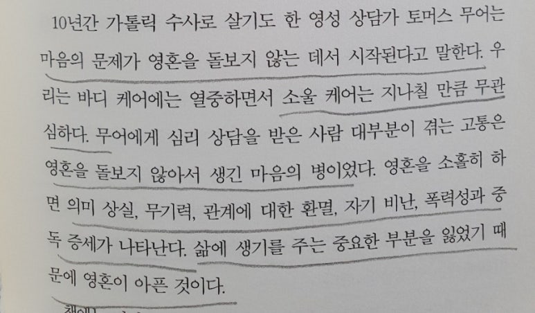 나무소울 이미지