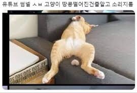 로제분식 이미지