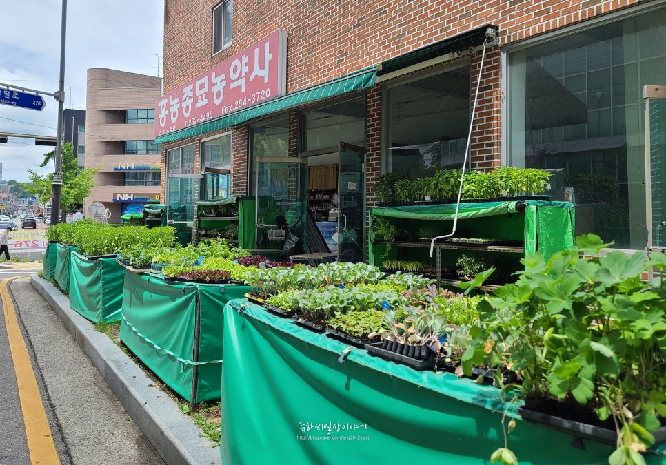 중앙종묘농약사 이미지