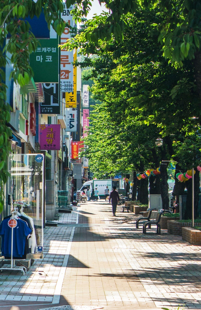 성원음악사 이미지
