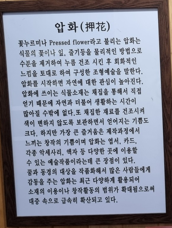 꽃과사는여인 이미지