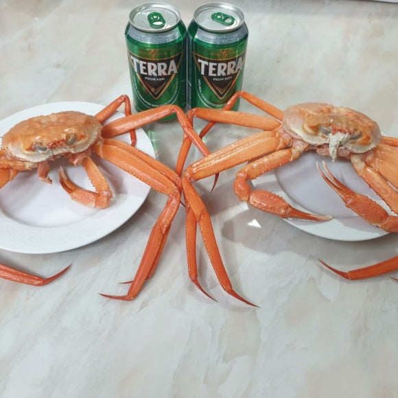 홍게양대게군 이미지