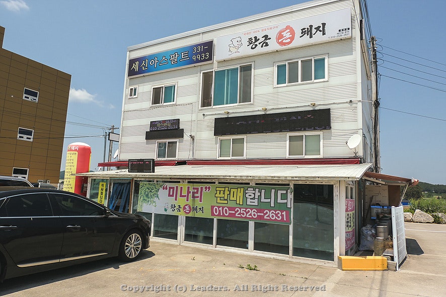 황금돈돼지 이미지