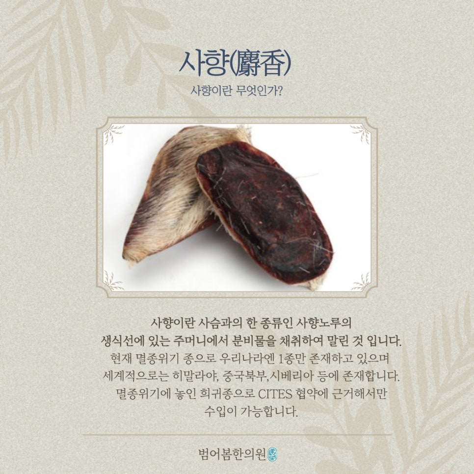 범어봄한의원 이미지