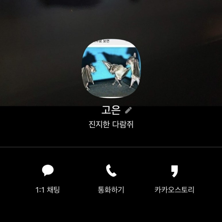 드림디포카피센터 이미지
