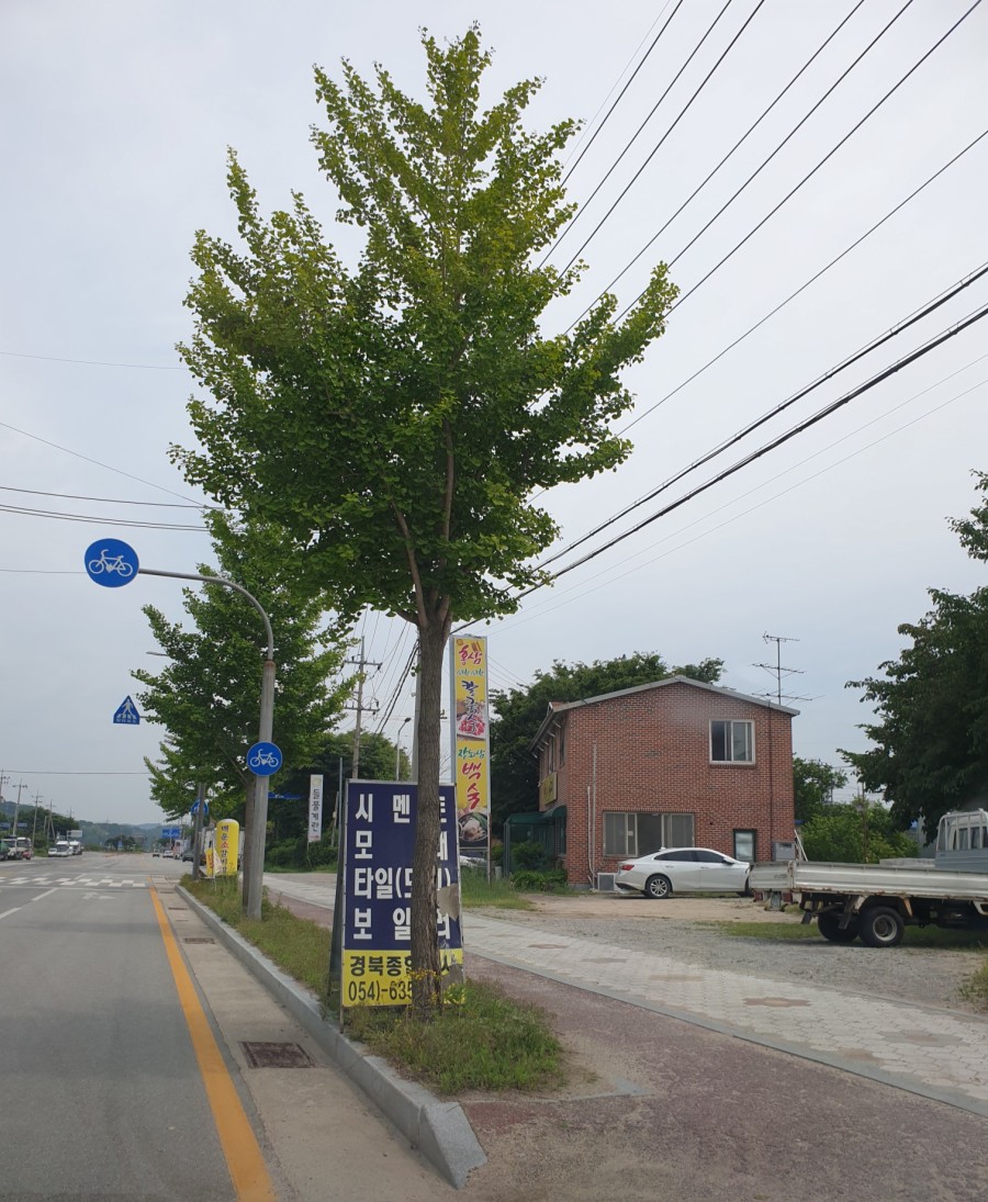 영주가스충전소 이미지
