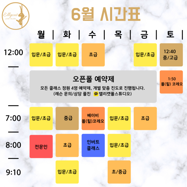 앨리캣폴스튜디오 이미지