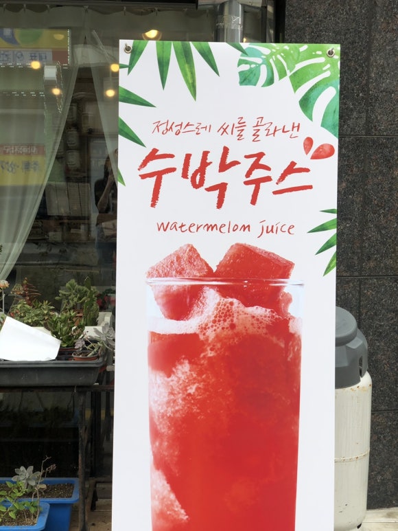 테리브라운 이미지