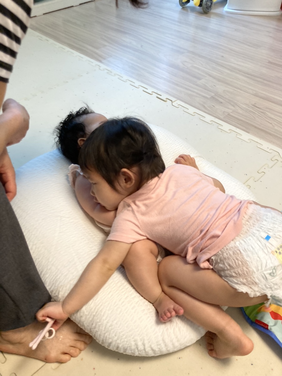 이니지아 이미지