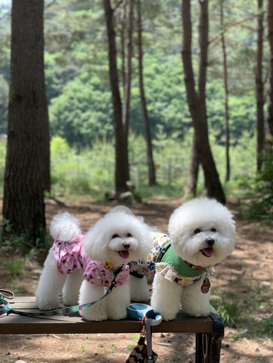 메종카누네 이미지
