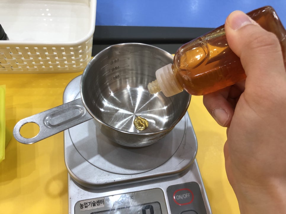장미나라 이미지