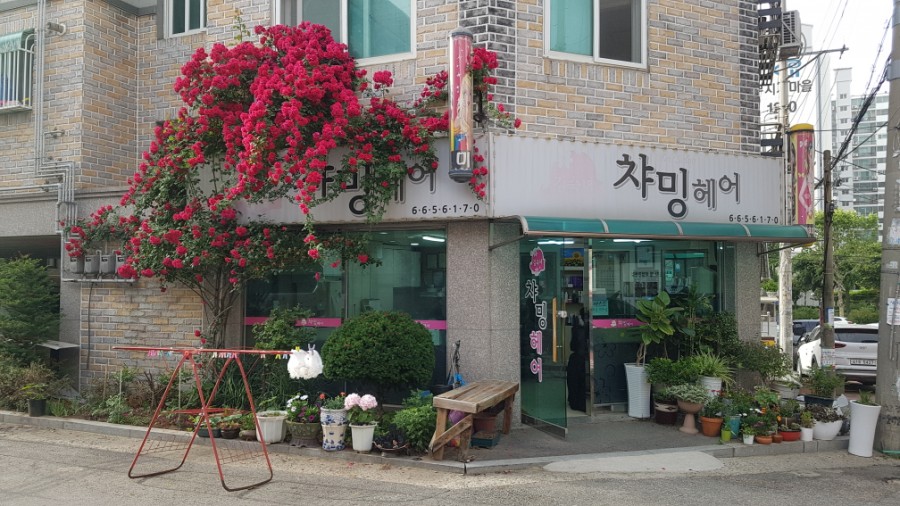 챠밍헤어 이미지