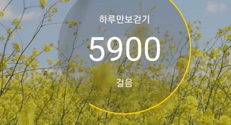 모모공방&카페 이미지