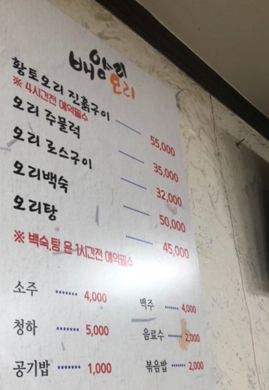 배양리오리집 이미지