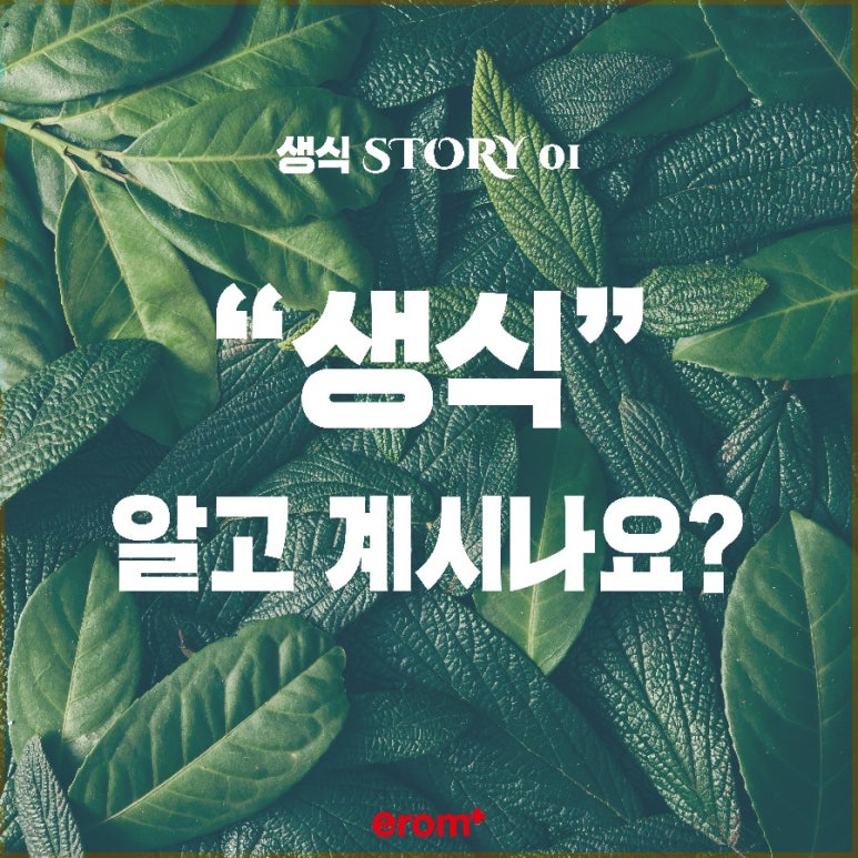 이롬시스템 이미지