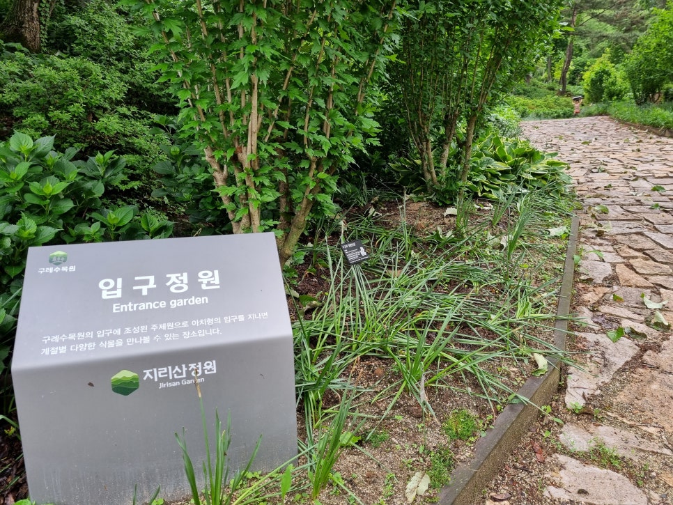 구례수목원 유아숲체험원 이미지