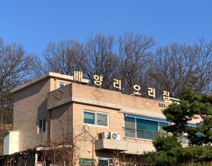 배양리오리집 이미지