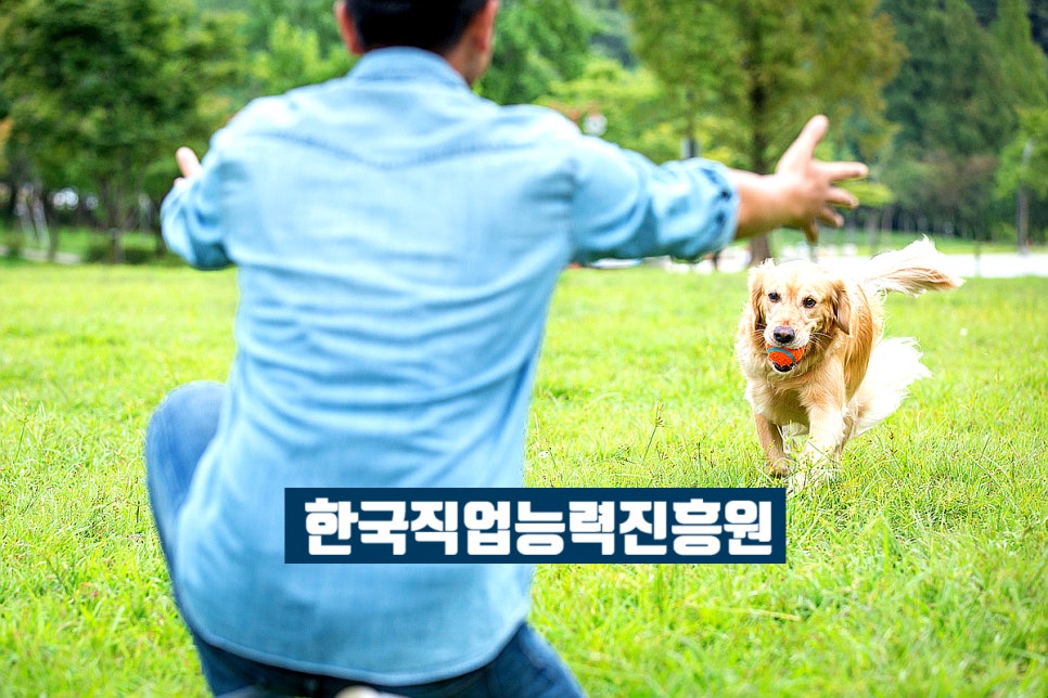 한국직업지도진흥원 이미지
