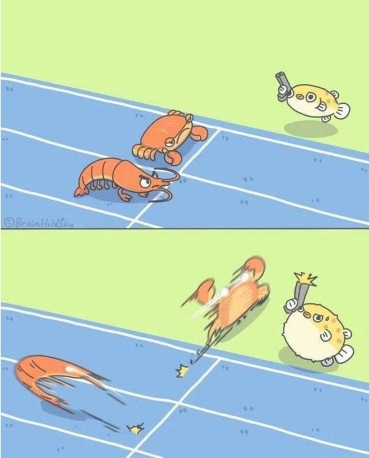 위키스터디 이미지