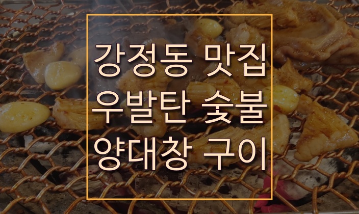 우발탄 이미지