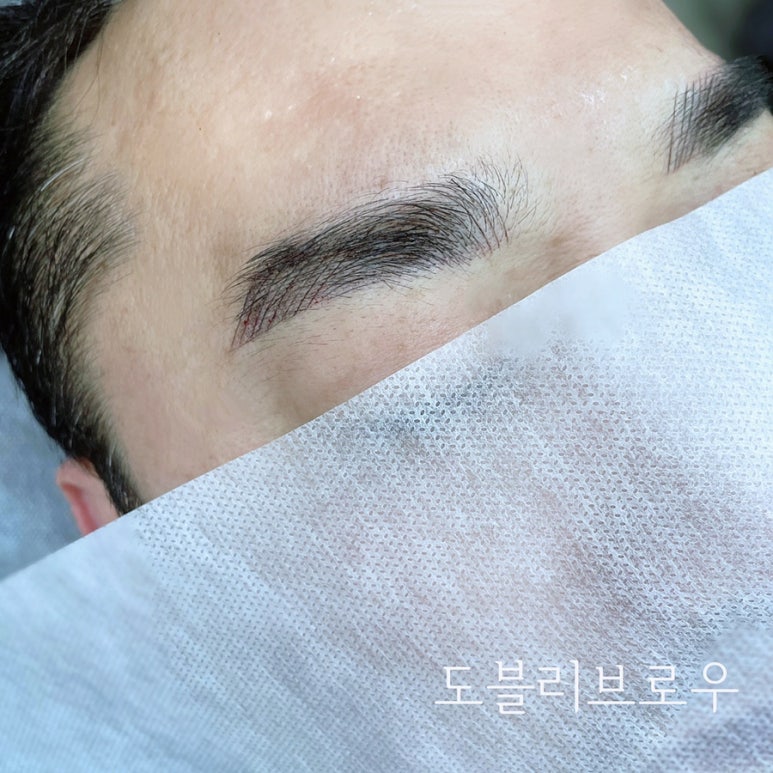 도블리브로우 이미지