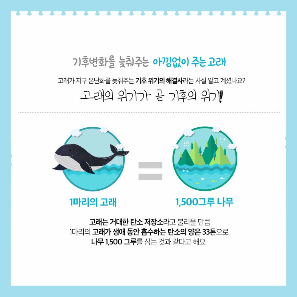 고래컴퍼니 이미지