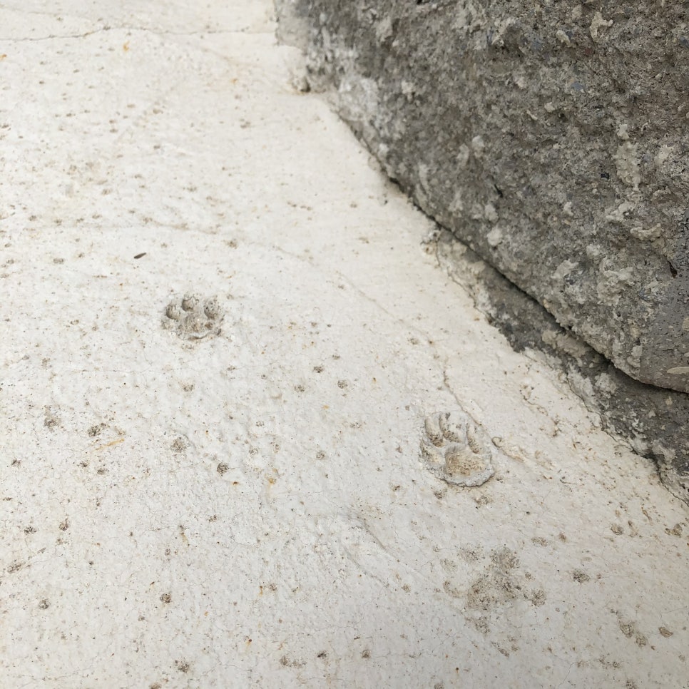 더벤티 여수엑스포점 이미지