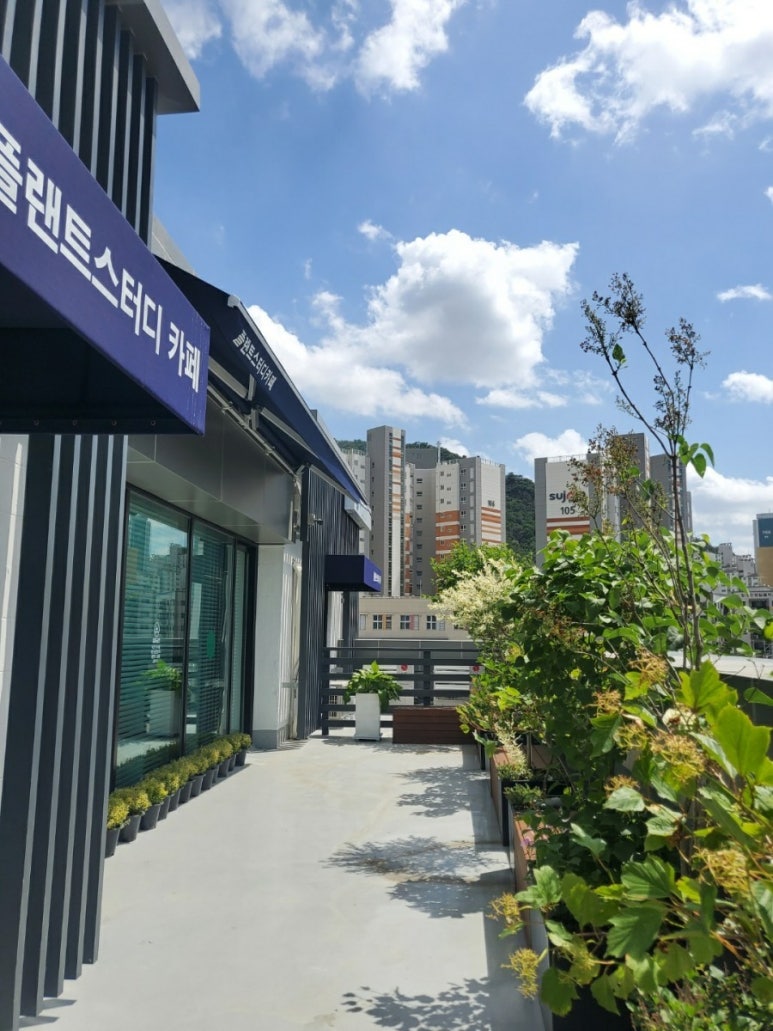 플랜트스터디카페사가정라운지 이미지