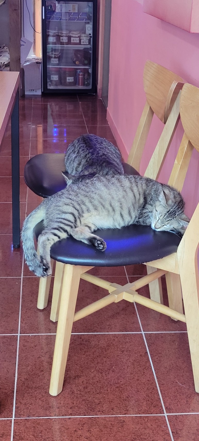 다랭이918 이미지