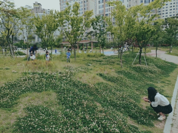 주식회사 호호호 이미지