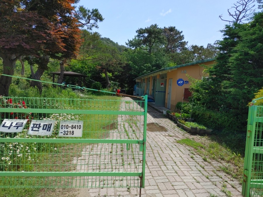 숲속꼬마김밥 이미지