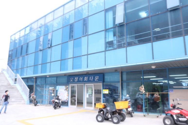 울릉도회오징어 이미지