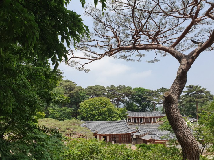 (주)여행산책 이미지