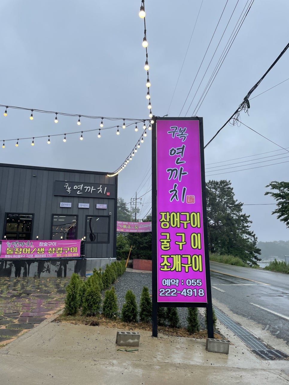 구복연까치 이미지