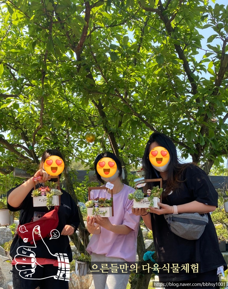 동심다육 이미지