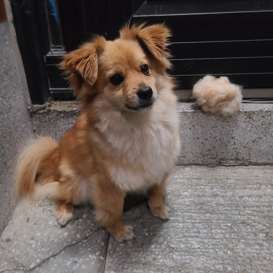 헤어라움 이미지