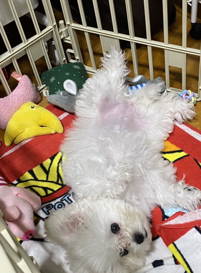 애플축산 이미지