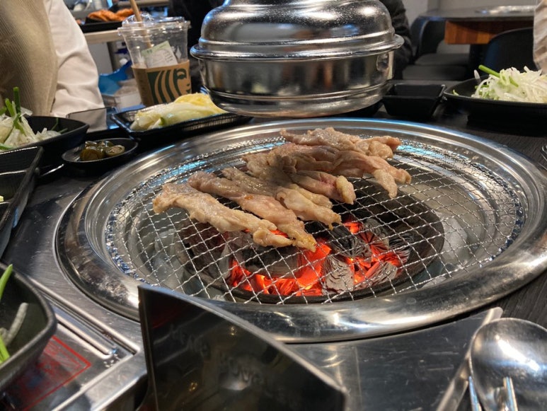 꼬꼬스토리 이미지