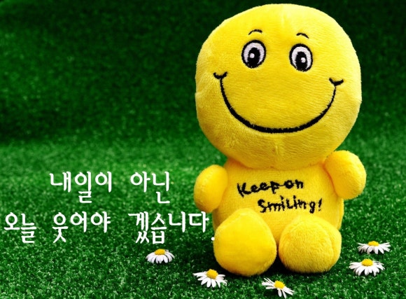 엄지척홈케어 이미지