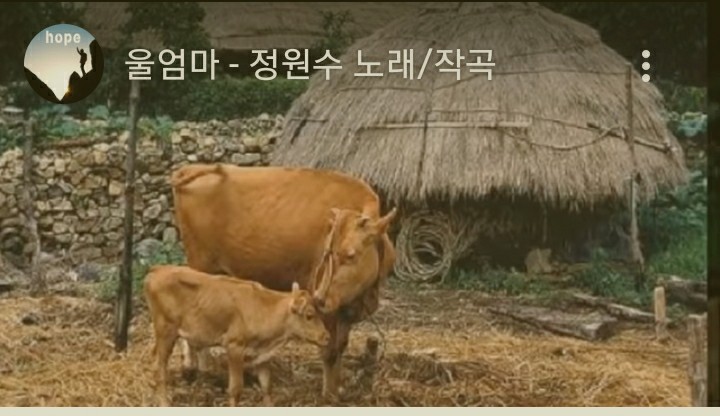 울엄마세탁 이미지