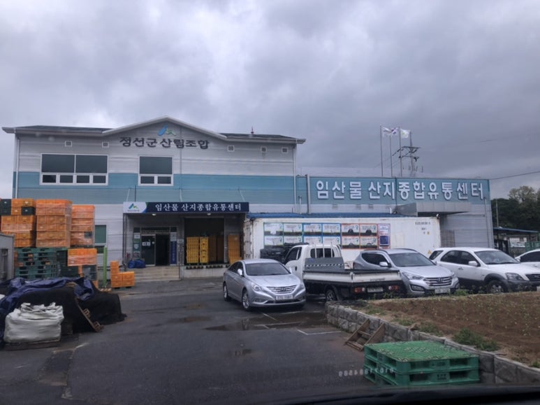 정선군산림조합(임산물산지종합유통센터) 이미지