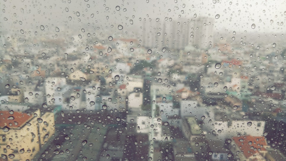 비울채울 이미지