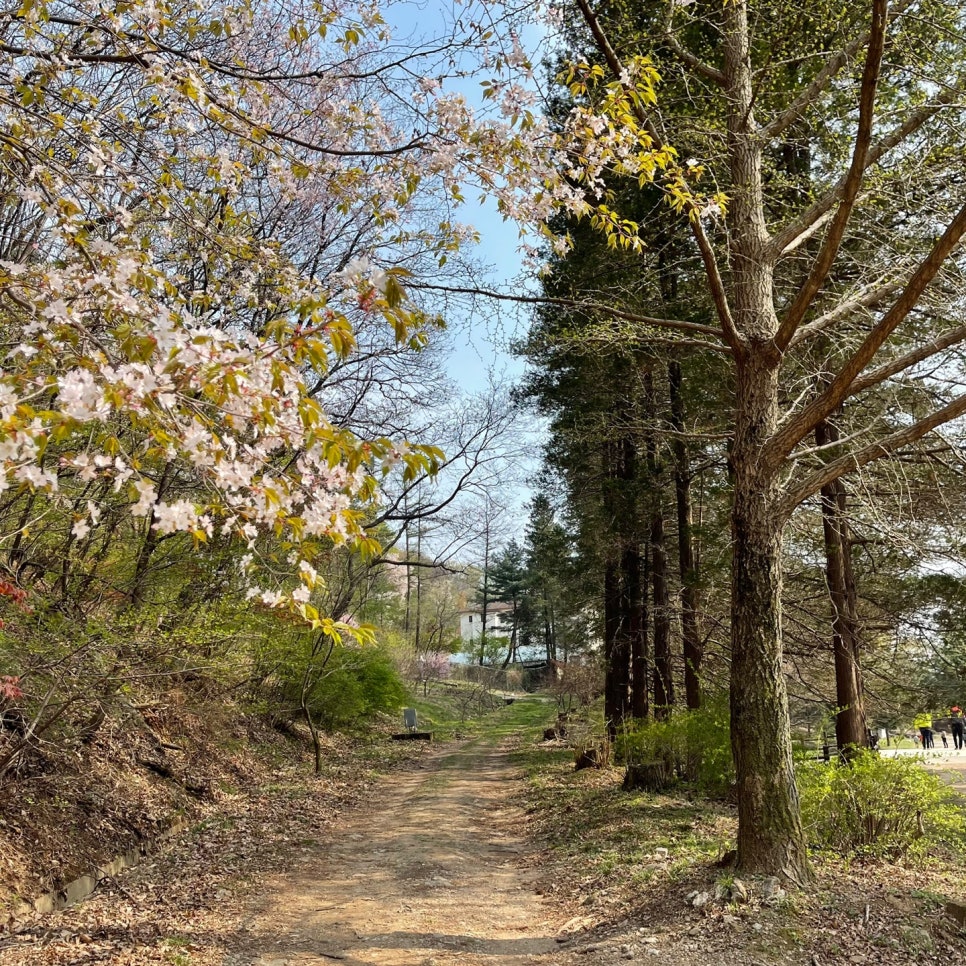 주식회사 천명 이미지