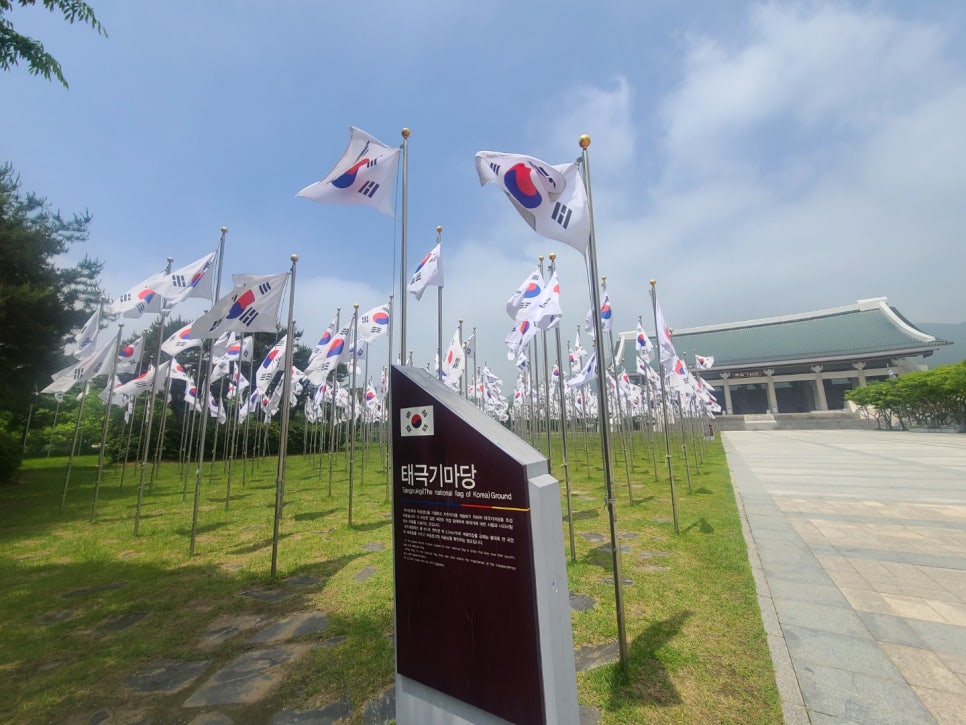 로뎀77 이미지